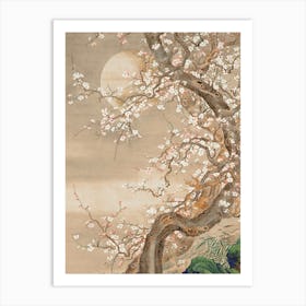 Asian Cherry Blossom Tree Art Print