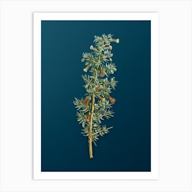 Vintage Kraal Honey Thorn Botanical Art on Teal Blue n.0762 Art Print