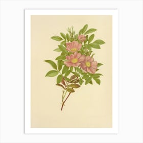 Pink Roses Art Print