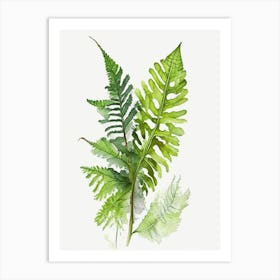 Marsh Fern Wildflower Watercolour Art Print