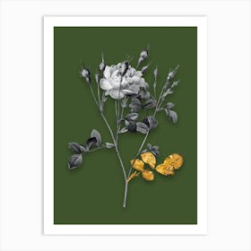 Vintage Anemone Sweetbriar Rose Black and White Gold Leaf Floral Art on Olive Green n.0477 Art Print
