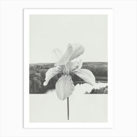 Iris Flower Photo Collage 3 Art Print