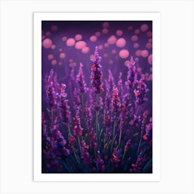 Lavender Field Art Print