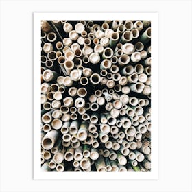 Bamboo Stalks Art Print