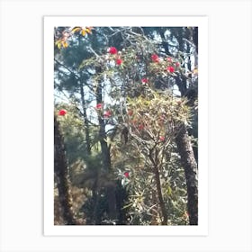 Rhododendrons In A Forest By Binod Dawadi Art Print