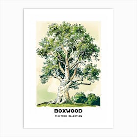 Boxwood Tree Storybook Illustration 2 Poster Art Print