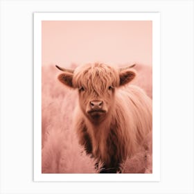 Pink Portrait Of Highland Cow Realistic Photography Style 2 Art Print