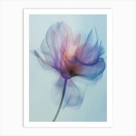 Poster Icm Flower 5 Art Print