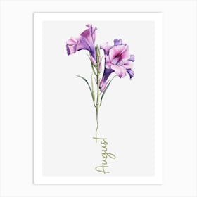 Gladiolus Birth Flower Birth Month Botanical Art Print