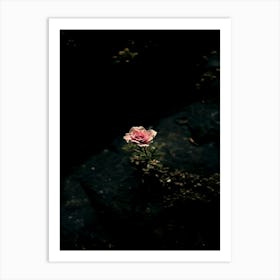 Rose In The Dark 34 Art Print