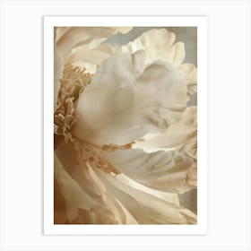 Soft Beauty Art Print