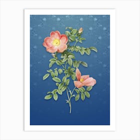 Vintage Red Sweetbriar Rose Botanical on Bahama Blue Pattern n.0158 Art Print