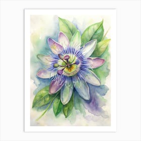 Passion Flower 1 Art Print