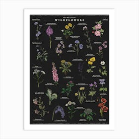 Wildflowers Noir Illustrated Botanical Art Print Art Print