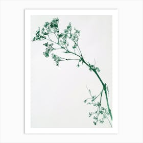 Green Ink Painting Of A Black Stem Spleenwort 2 Art Print