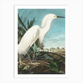 Reproduction and Remastered Copy of a Vintage Snowy Heron Or White Egret Originally Created by John James Audubon Art Print