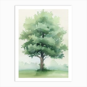 Boxwood Tree Atmospheric Watercolour Painting 1 Art Print