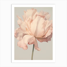 Floral Illustration Tulip 4 Art Print