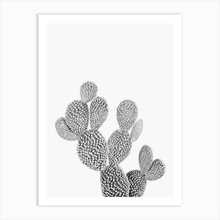 Wild Desert Cactus Art Print