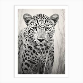 African Leopard Realism Portrait 2 Art Print