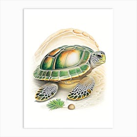 Hatching Sea Turtle, Sea Turtle Vintage 1 Art Print