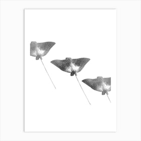 Abstract Spotted Eagle Ray Black and White Minimalist Boho Oceanic Art Print Art Print