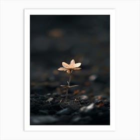 Small Flower On The Ground Art Print