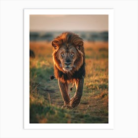 Lion In The Savannah Art Print