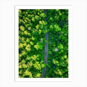 Aerial View Captures The Canopy Of A Lush Green Forest In The Throes Of Spring New Leaves Unfurling (7) Art Print