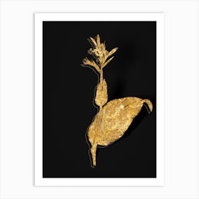 Vintage Indian Shot Botanical in Gold on Black n.0467 Art Print