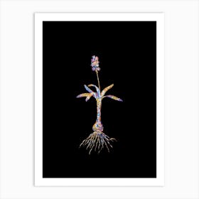 Stained Glass Scilla Lingulata Mosaic Botanical Illustration on Black n.0014 Art Print