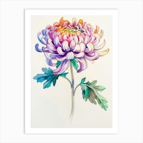 Chrysanthemum 8 Art Print