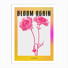 Hot Pink Scabiosa Poster Art Print