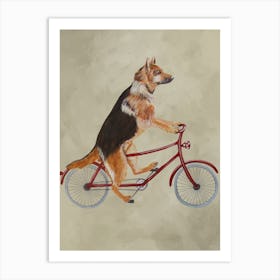 German Shepherd On Bicycle Art Print