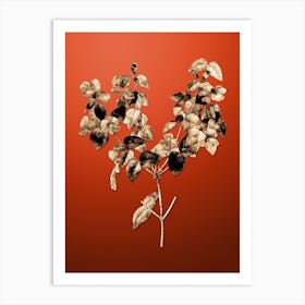 Gold Botanical Platilobium on Tomato Red n.4607 Art Print