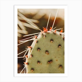 Up Close Cactus Art Print
