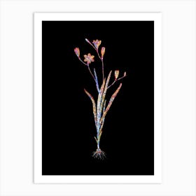 Stained Glass Ixia Bulbifera Mosaic Botanical Illustration on Black n.0146 Art Print