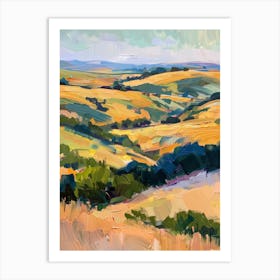 California Landscape 2 Art Print