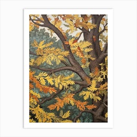 Winged Elm 2 Vintage Autumn Tree Print  Art Print