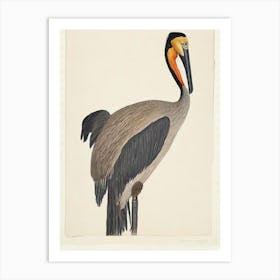 Brown Pelican Illustration Bird Art Print