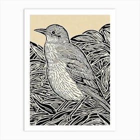 Hermit Thrush 2 Linocut Bird Art Print