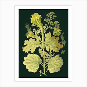 Mustard Herb Vintage Botanical Art Print