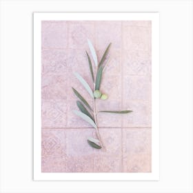 Olive Branch Art Print