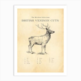 British Venison Chart Butcher Chart Art Print