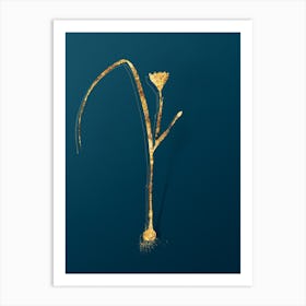 Vintage Cape Tulip Botanical in Gold on Teal Blue n.0260 Art Print