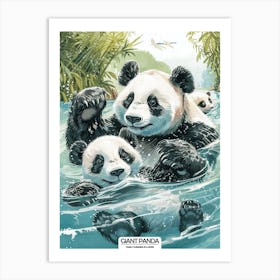 Giant Panda Family Swimming In A River Poster 3 Art Print