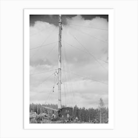 Untitled Photo, Possibly Related To Long Bell Lumber Company, Cowlitz County, Washington, Spar Tree Used In Lumberin Art Print