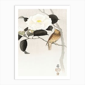 Songbird And Flowering Camellia (1900 1910), Ohara Koson Art Print