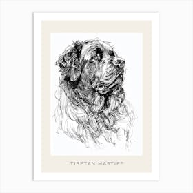 Tibetan Mastiff Dog Line Sketch 1 Poster Art Print