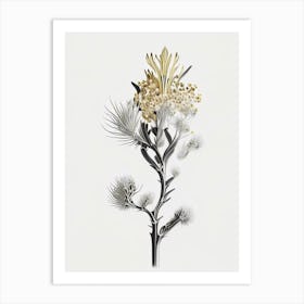 Silver Torch Joshua Tree Gold And Black (4) Art Print